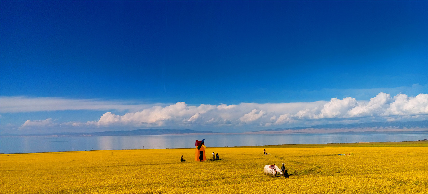 《大美青?！穭㈤?/>
                                    <div   id=